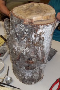 A big ugly stump